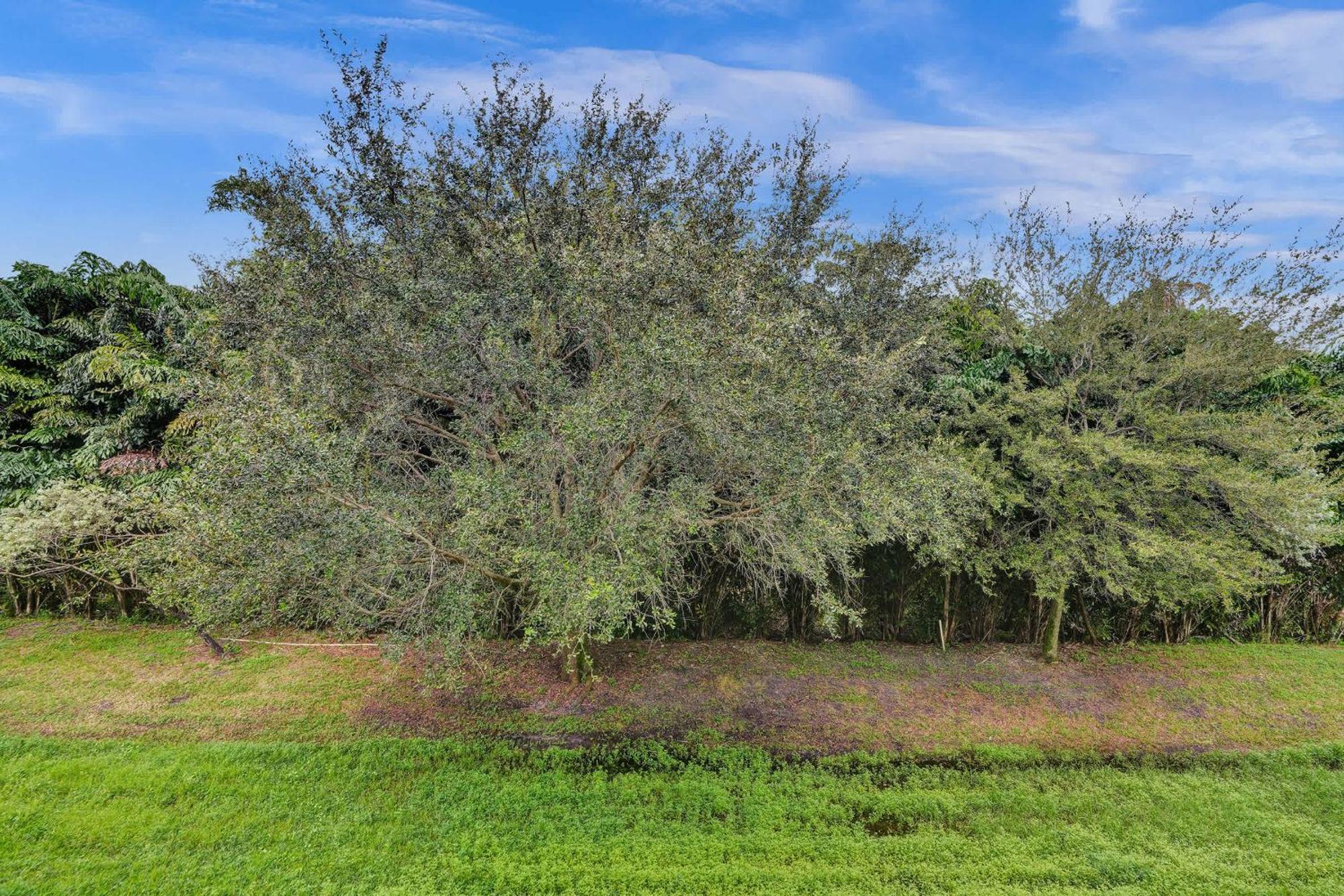 Vista-2 Story W 3bdrms & Golf View